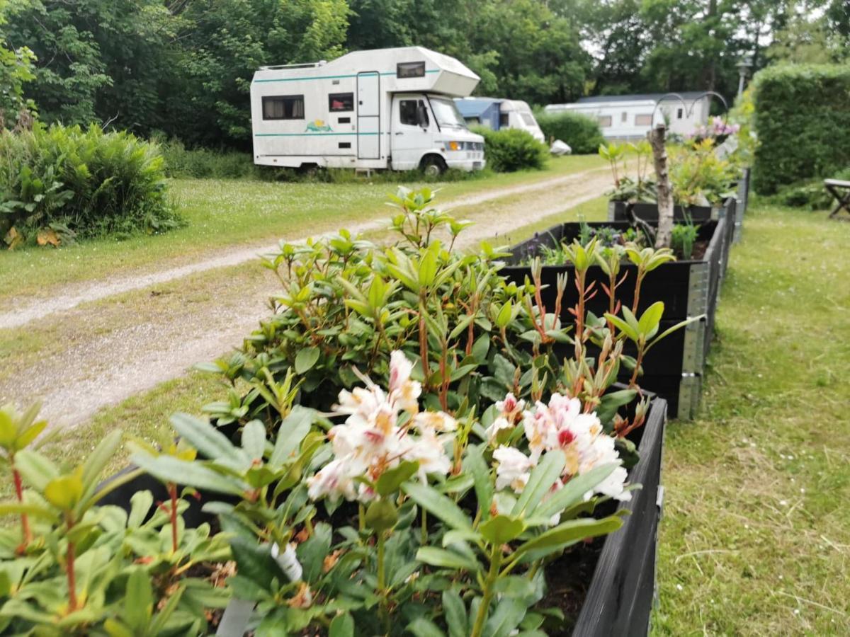 Frederiksvaerk Camping & Hostel Extérieur photo