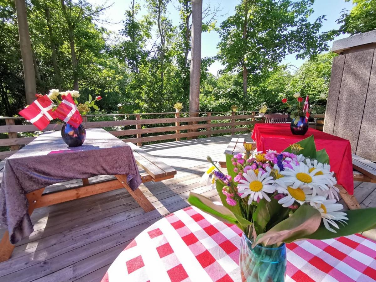 Frederiksvaerk Camping & Hostel Extérieur photo