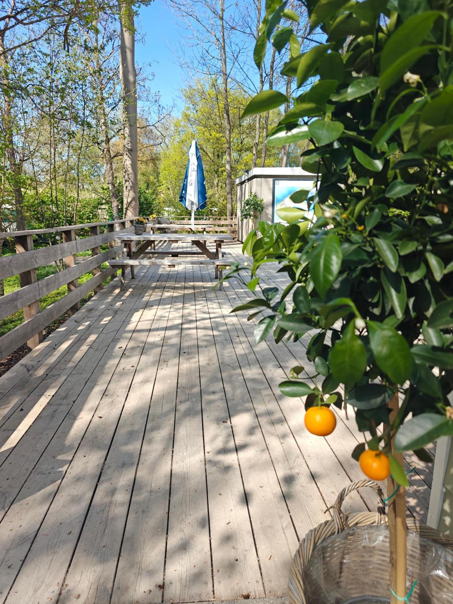 Frederiksvaerk Camping & Hostel Extérieur photo