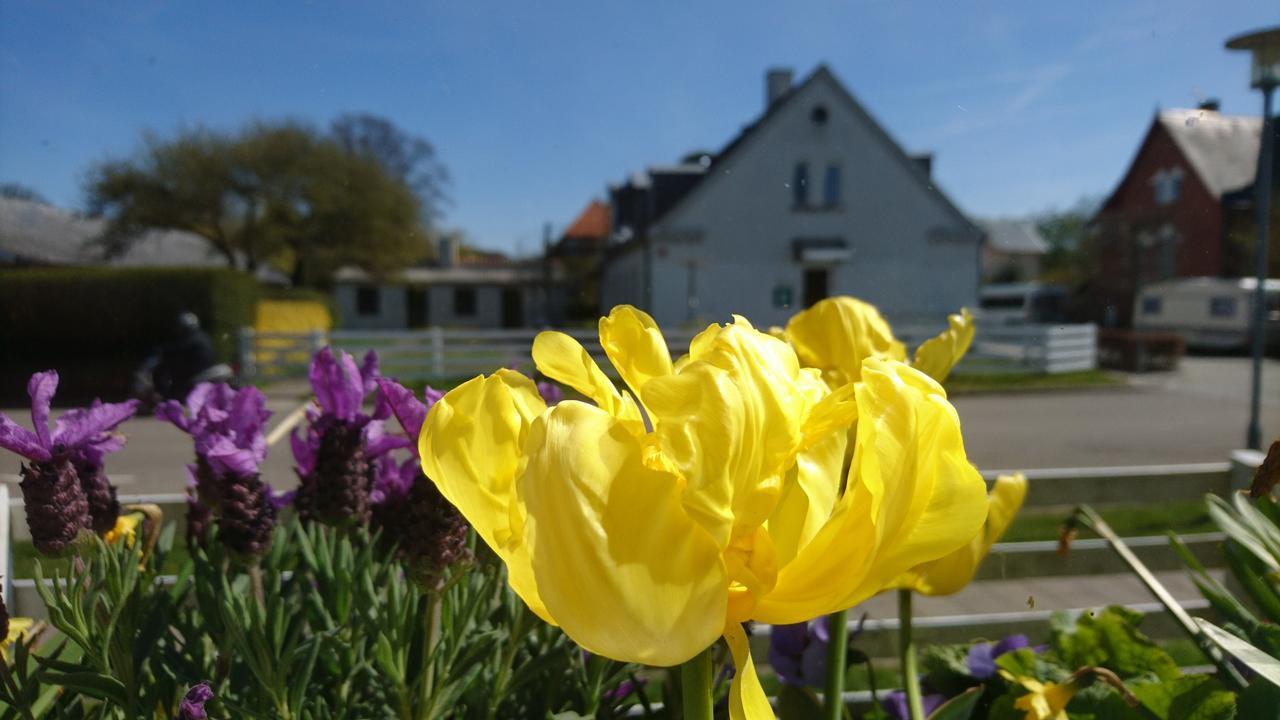 Frederiksvaerk Camping & Hostel Extérieur photo